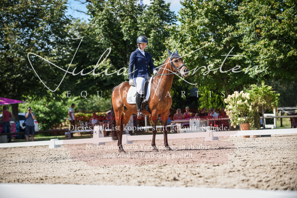 DSC_9433 | Pferde- und Turnierfotografie in Westsachsen. Pferdeportraits, Auftragszeichnungen und intuitive Kunst.