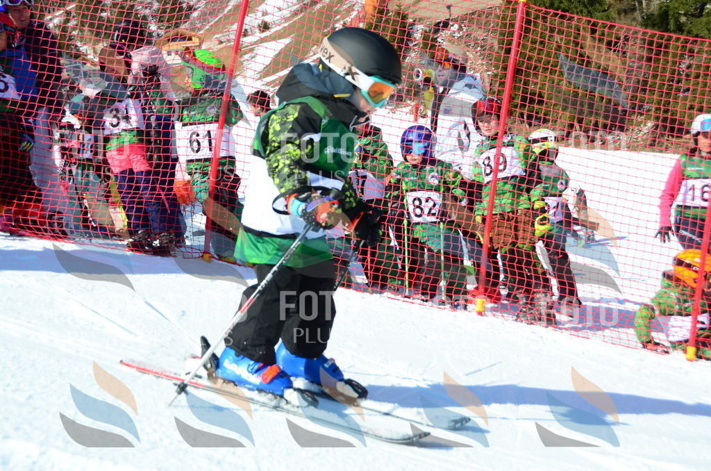 C4846 | holidayphoto