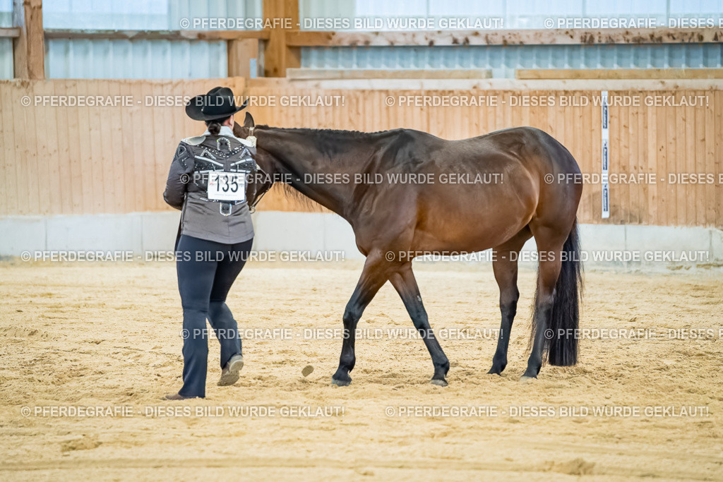 DSC09847 | Pferdegrafie