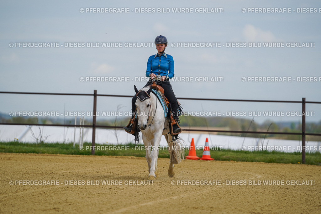 DSC05528 | Pferdegrafie