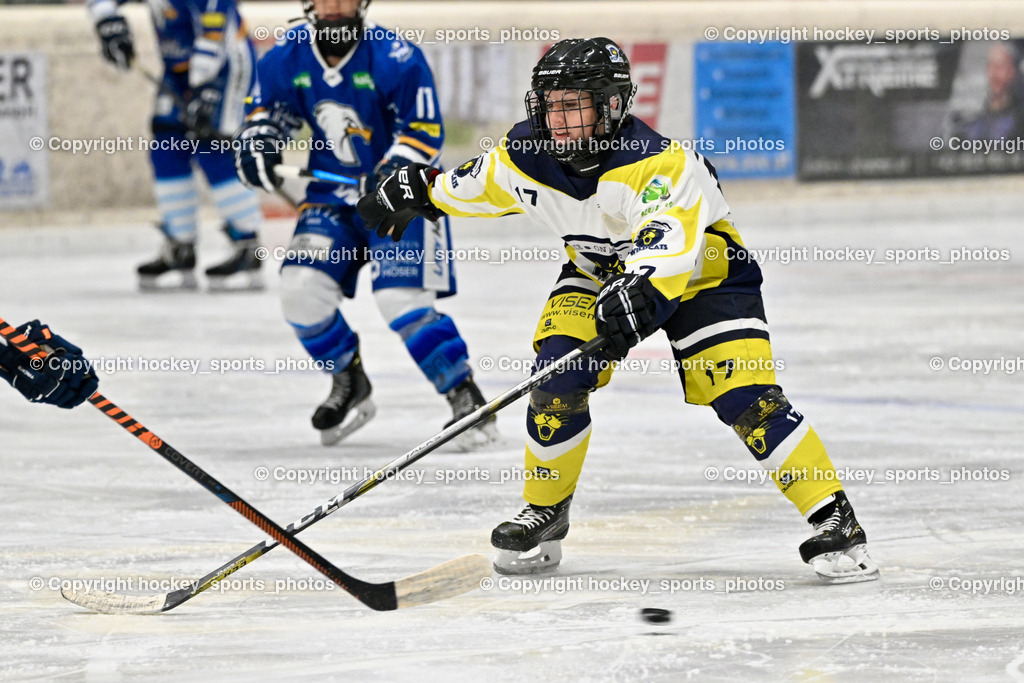 Wildcats Paternion vs. Lady Hawks  | #17 Kleindienst-Anton Anita Wildcats Paternion, Wildcats Paternion vs. Lady Hawks , Wildcats Paternion vs. Lady Hawks  am 27.01.2025 in Spittal an der Drau (Eissportzentrum Spittal), Austria, (Photo by Bernd Stefan)