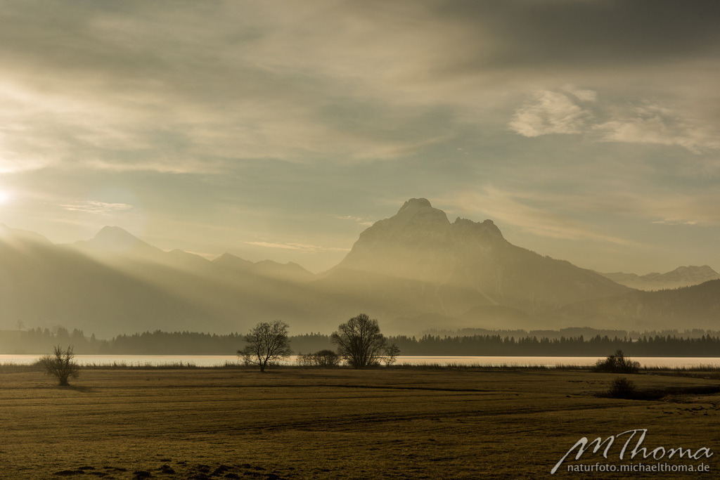 Morgenstimmung am Hopfensee mit Blick auf den Säuling | Dies ist der Online-Shop von naturfoto.michaelthoma.de. Ich bin leidenschaftlicher Naturfotograf und fotografiere von der Andromedagalaxie bis zum Zwergtaucher, von der Ameise bis zum Orionnebel alles was mit Natur zu tun hat. Hier kann eine Auswahl meine - Realisiert mit Pictrs.com