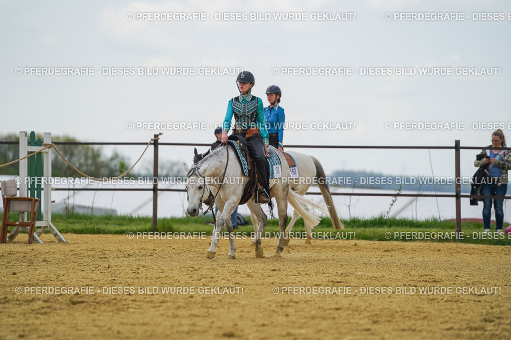 DSC06437 | Pferdegrafie