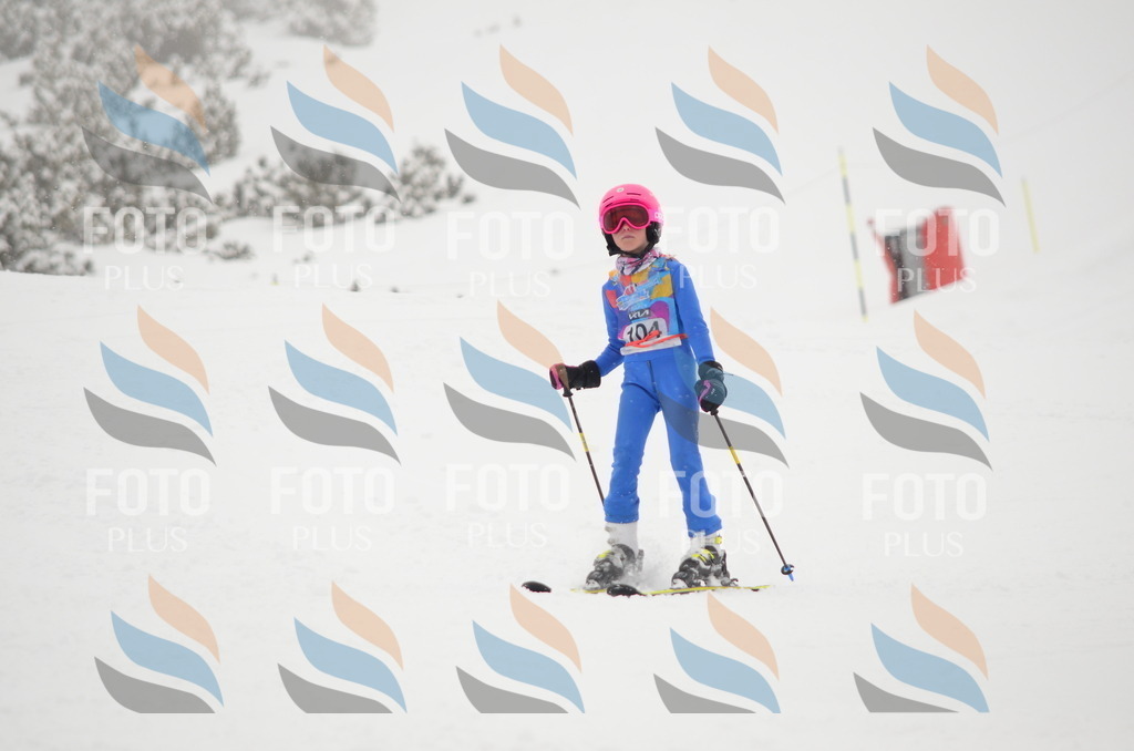 C1408 | holidayphoto