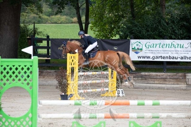 2B4A1622 | pixelfaenger - Realisiert mit Pictrs.com