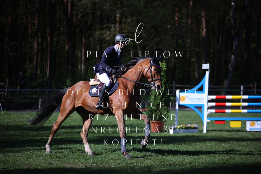 IMGT0206 | pl-fotografie