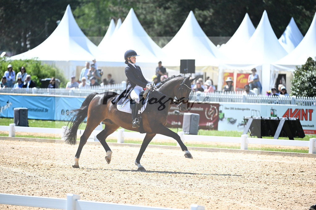 Purrmann_Devendra CE_12246299 | hf-fotografie - Realisiert mit Pictrs.com