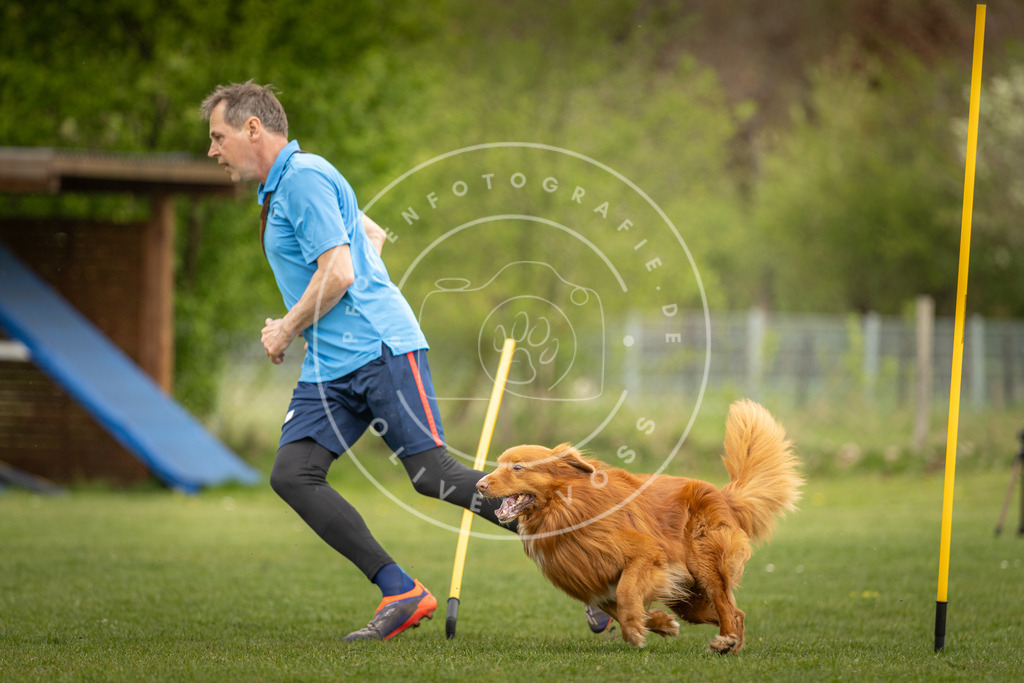 Pfotenfotografie_DV3A7383 | Hundefotografie, Tierfotograf, Pfotenfotografie, Fotoshooting Hund, Hunde Portrait, Hundesport, Hundeportraits, Heideshooting, Hunde, Sportfotograf, Hundefotograf, Turnierhundsport, THS,  - Realisiert mit Pictrs.com