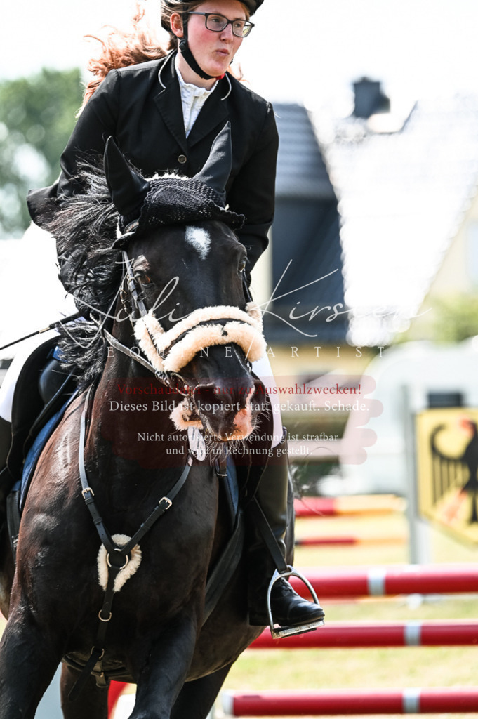 DSC_9130 | Pferde- und Turnierfotografie in Westsachsen. Pferdeportraits, Auftragszeichnungen und intuitive Kunst.