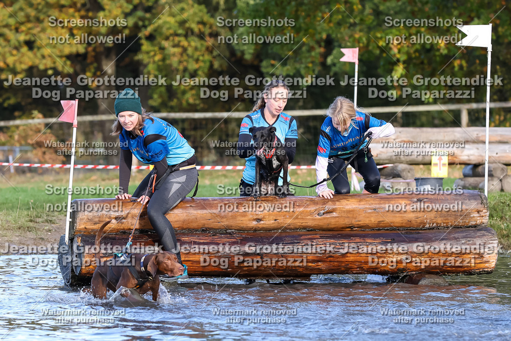 Dog Paparazzi - Strongdog 10-25-8582 | Dog Paparazzi Jeanette Grottendiek Fotografie & Videografie - Realisiert mit Pictrs.com