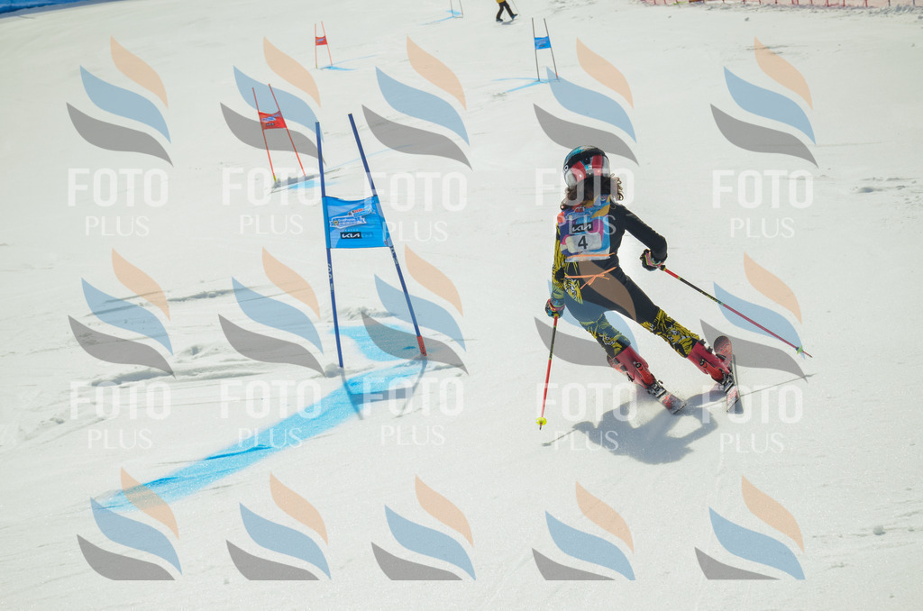 _ELE4412 | holidayphoto