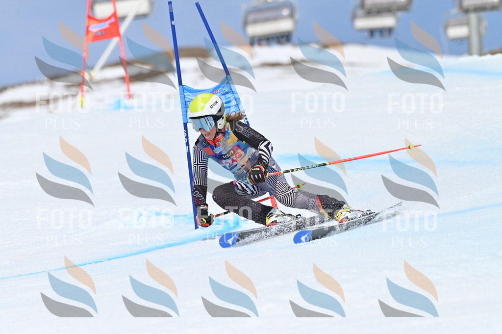 BGV_1813 | holidayphoto