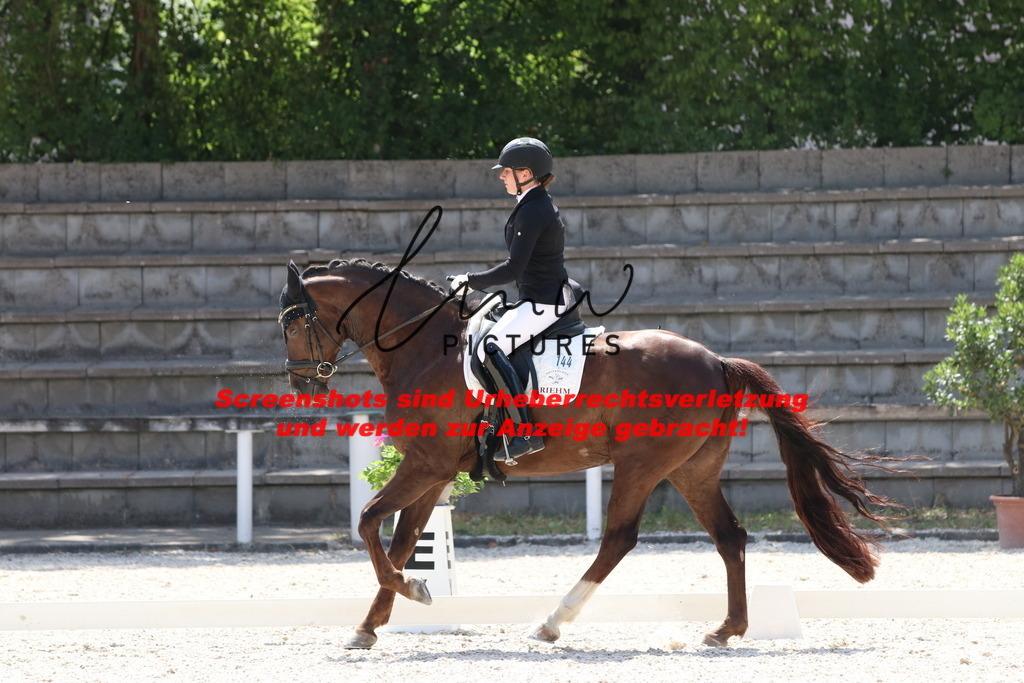 IMG_5210 | lmwpictures - Realisiert mit Pictrs.com