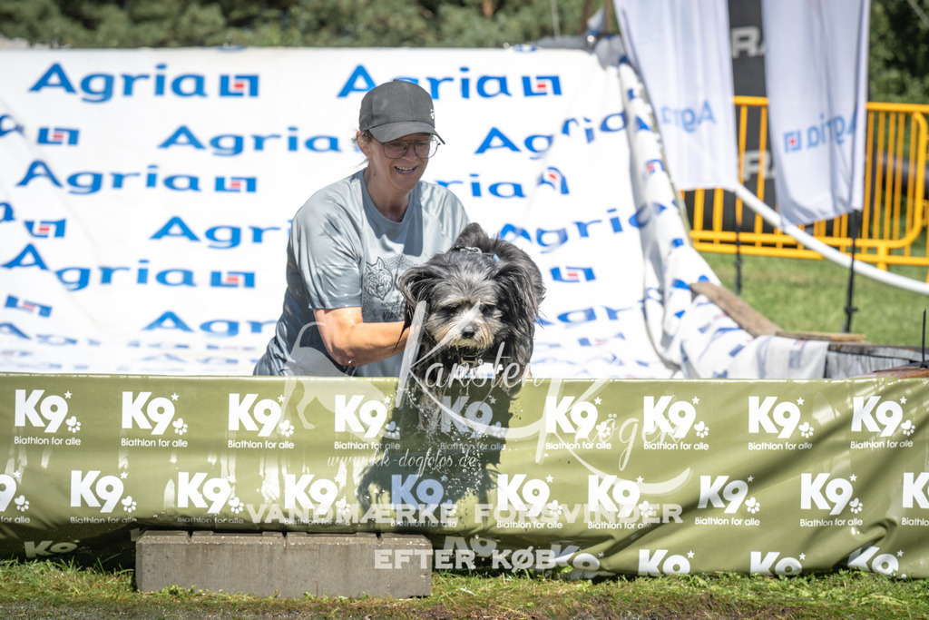 1431_ZZ94579 | kk-dogfotos