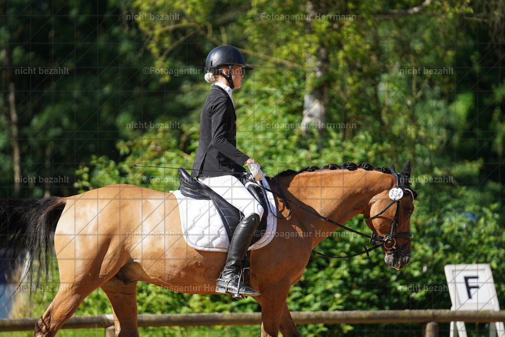 20240706-FAH04556 | Grafing Turnierfotos, Reitverein Ebersberg, Turnierfotografen Bayern, reitsportbilder, Pferdefotograf, reitsportfotograf, Sportbilder, Reitsportfotografie, Fotoagentur Herrmann, Turnierfotograf