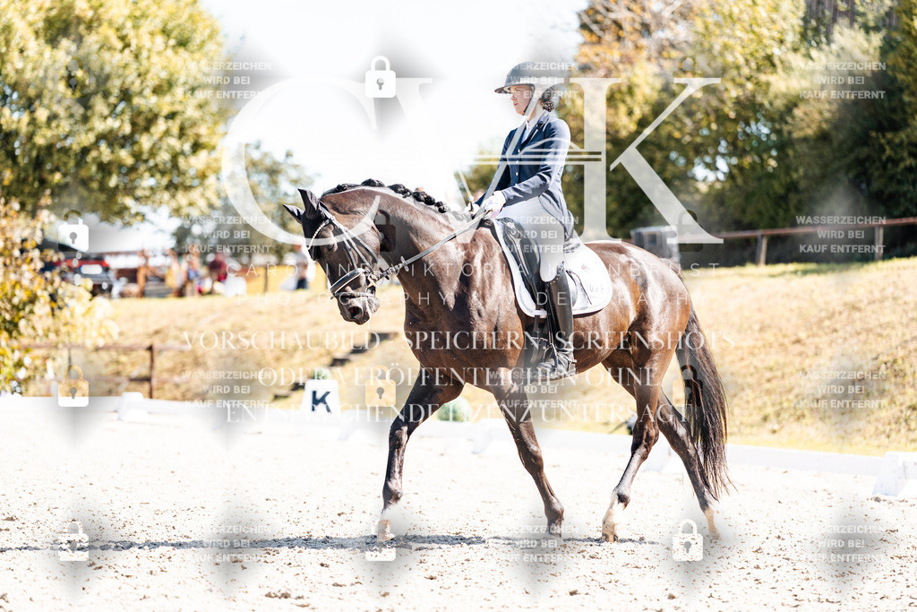 CK903473 | Turnierfotografie Pferdefotografie Trier Rheinland-Pfalz Pferdesport Reitsport Tierfotografie Sportfotografie Pferdevideo Pferdevideografie Equestrianvideography equestrianphotography  - Realisiert mit Pictrs.com