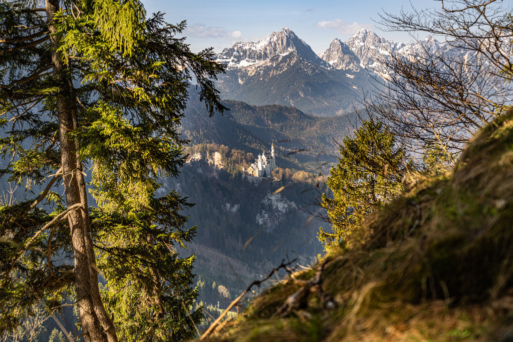 Allgäu Wandbild - Schloss Neuschwanstein mit Berglandschaft | Dieser Blick auf Neuschwanstein gehört zu meinen absoluten Favoriten. Noch leicht schneebedeckte Berge und erste Sonnenstrahlen auf dem Schloss, einfach nur herrlich.