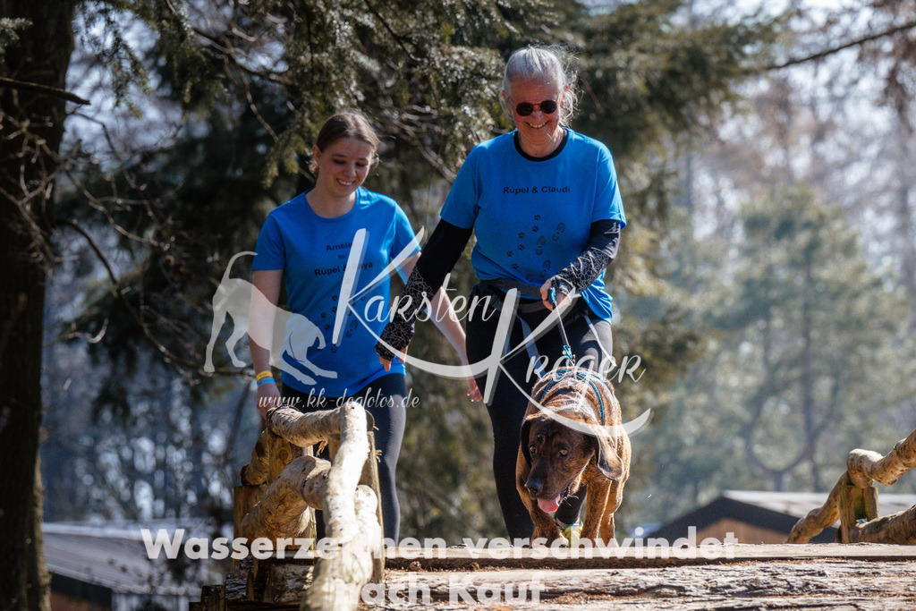 1334_ZZ95663 | kk-dogfotos
