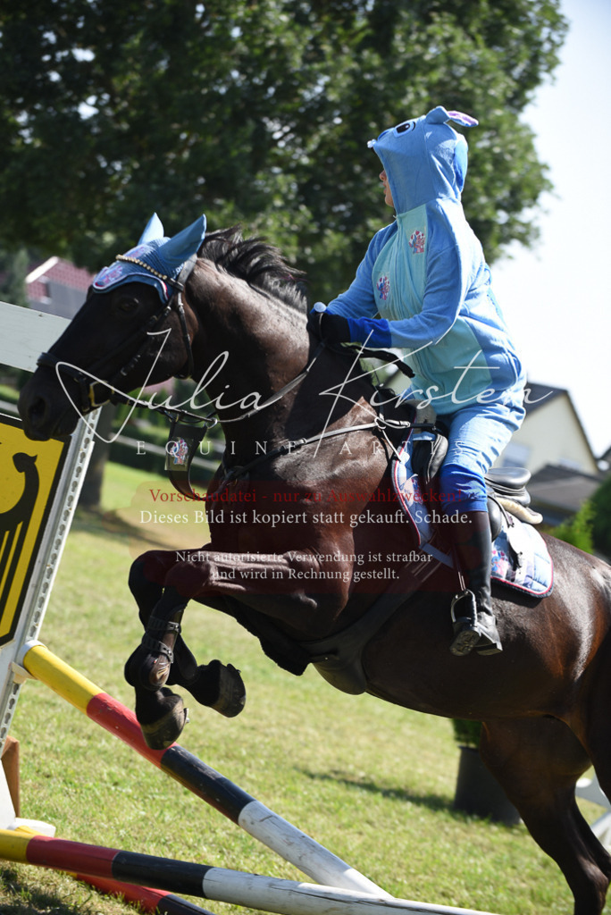 DSC_0219 | Pferde- und Turnierfotografie in Westsachsen. Pferdeportraits, Auftragszeichnungen und intuitive Kunst.