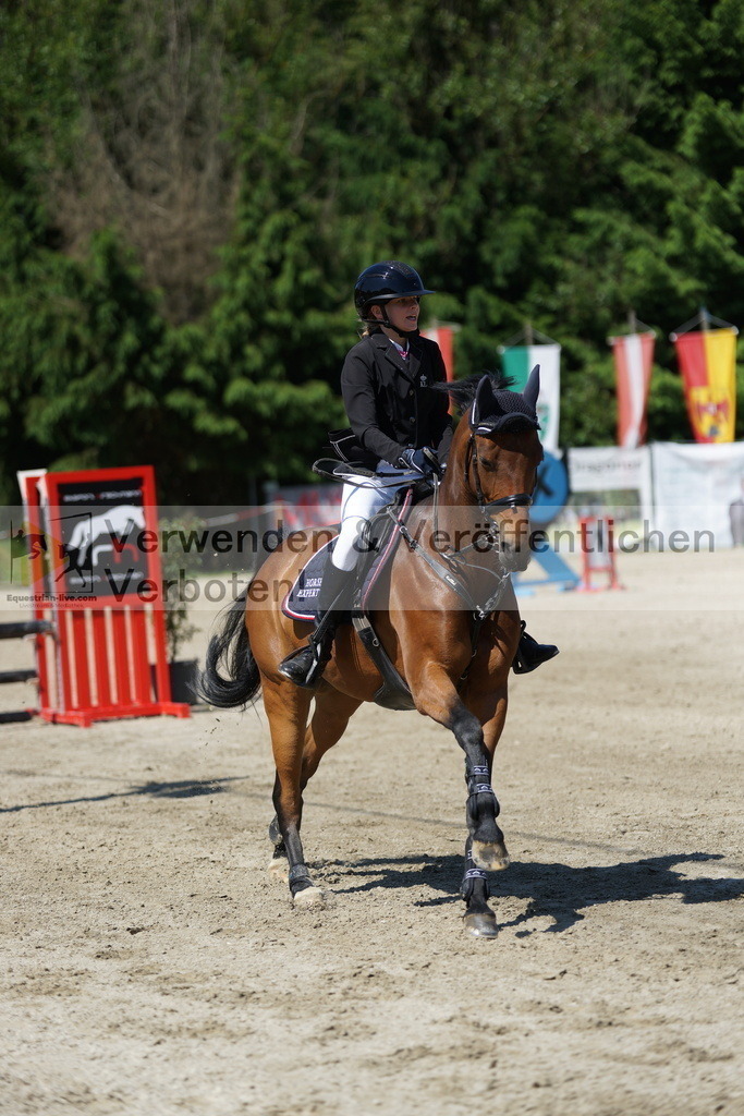 DSC06260 | equestrian-live-com