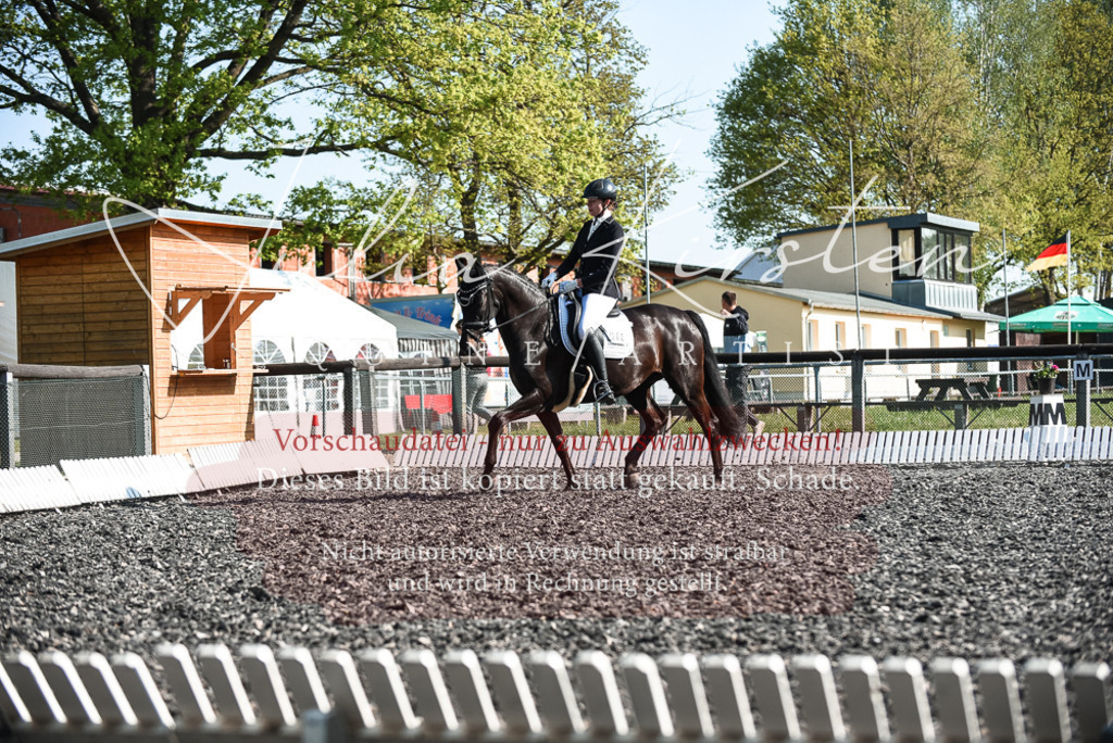 DSC_8378 | Pferde- und Turnierfotografie in Westsachsen. Pferdeportraits, Auftragszeichnungen und intuitive Kunst.