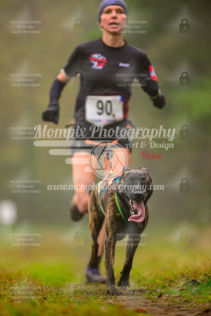 MompixPhotography_Bischwiller2025_Canicross-125 | mompixphotography