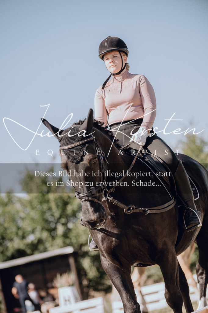 DSC_7080 | Pferde- und Turnierfotografie in Westsachsen. Pferdeportraits, Auftragszeichnungen und intuitive Kunst.