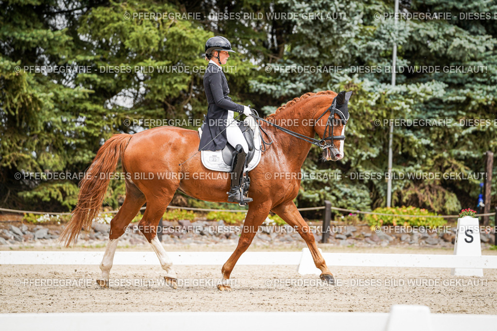 DSC05710 | Pferdegrafie