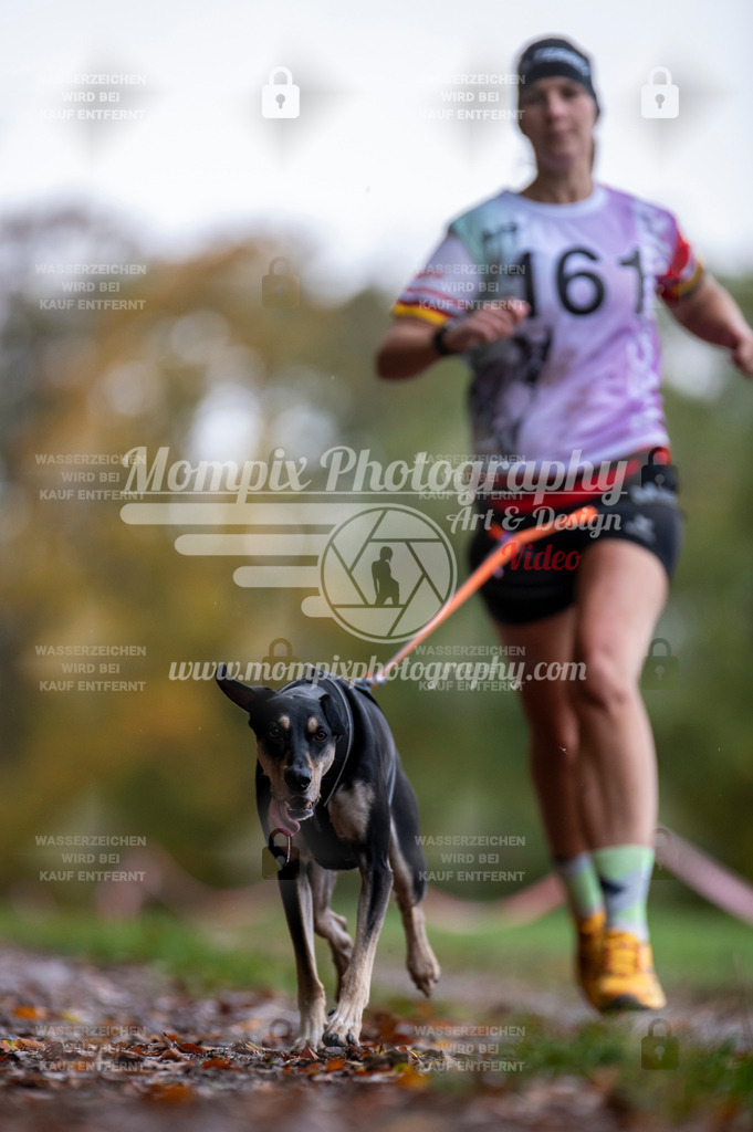 DBT_DAKM_SA_4_11_2023_Canicross-17 | PayLife