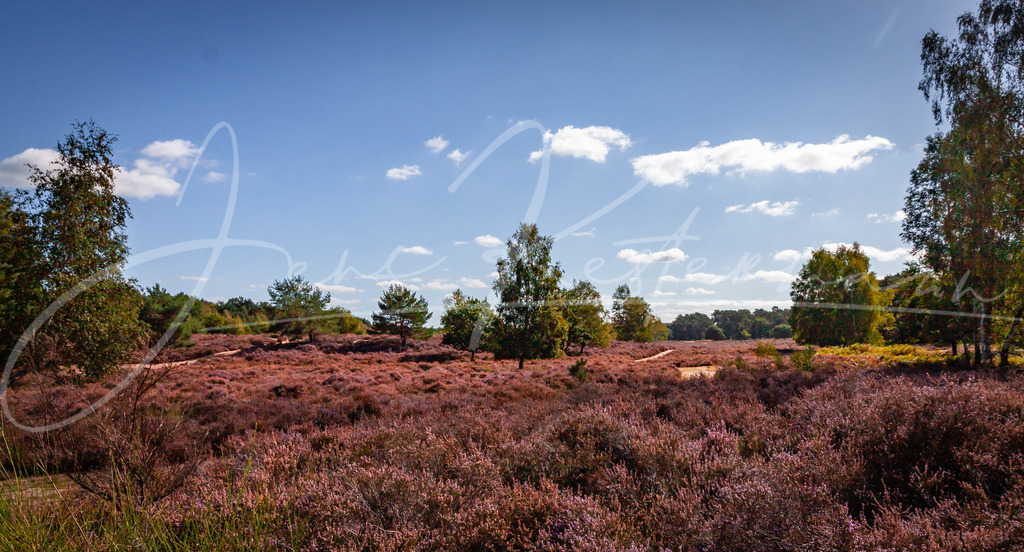 IMG_6190 | Landschaftsaufnahmen aus Deutschland. Sonne, Wasser, Wind und Wahrzeichen - Realisiert mit Pictrs.com