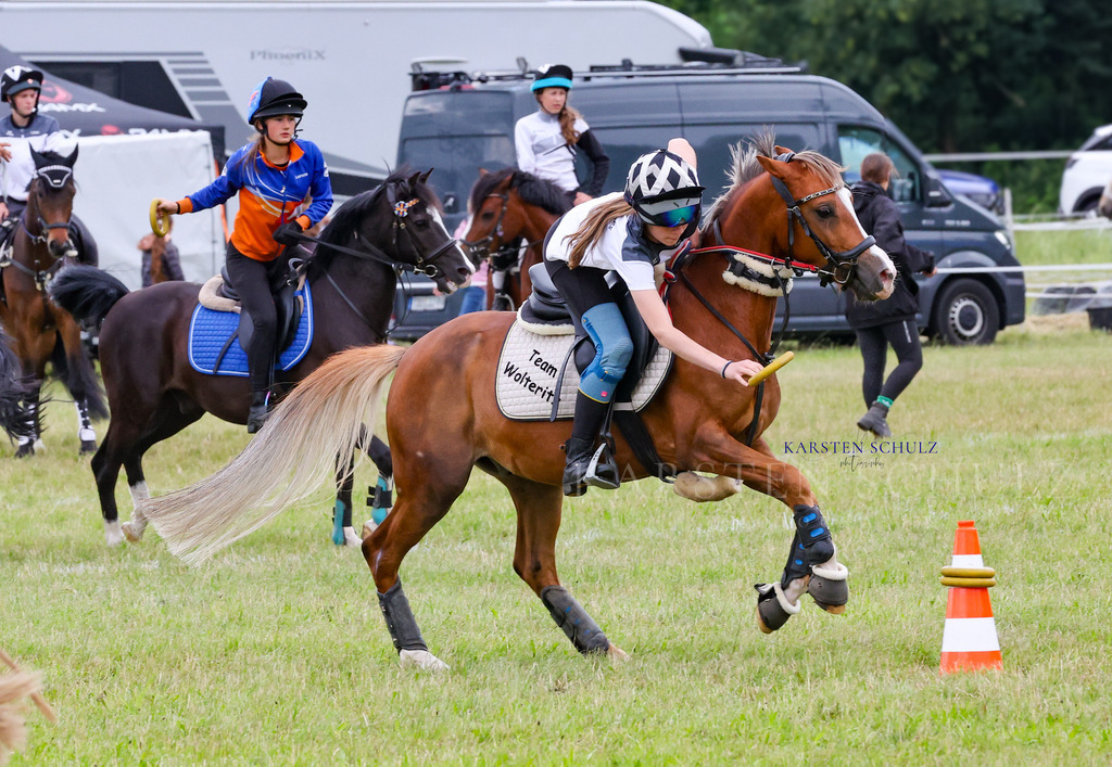 1B3A1481 | Reitsport Reiten