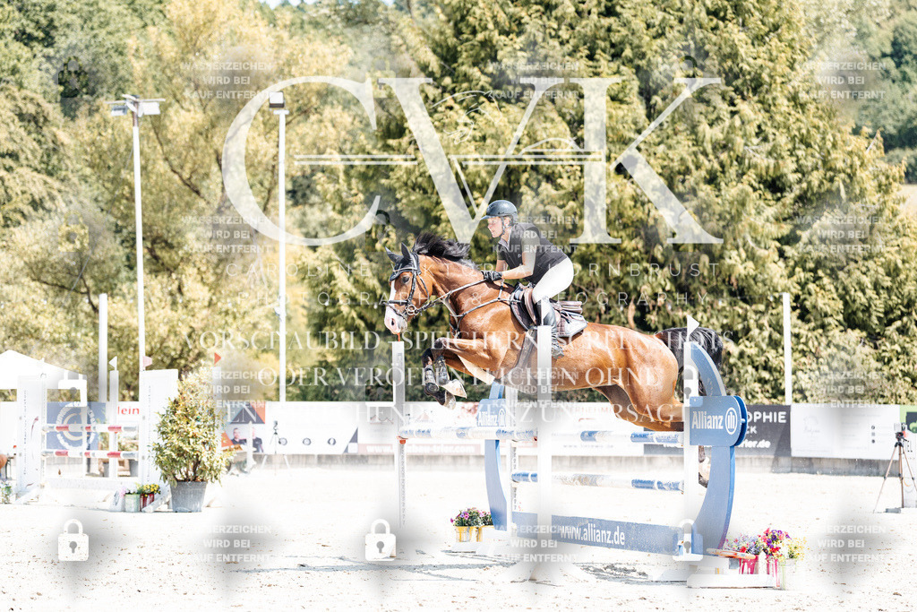 CK900907 | Turnierfotografie Pferdefotografie Trier Rheinland-Pfalz Pferdesport Reitsport Tierfotografie Sportfotografie Pferdevideo Pferdevideografie Equestrianvideography equestrianphotography  - Realisiert mit Pictrs.com