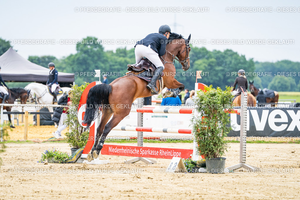 DSC07071 | Pferdegrafie