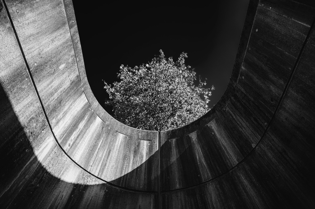 2024_10_22_HH-ALTONA-HERBST_MCP3438 sw | Hochwertig gedruckte Fotografien für die Wand, als Kalender und zum Verschenken. Hamburg & Norddeutschland und überall wo ich mit der Kamera unterwegs war.