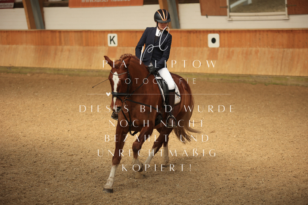 IMGT5339 | pl-fotografie