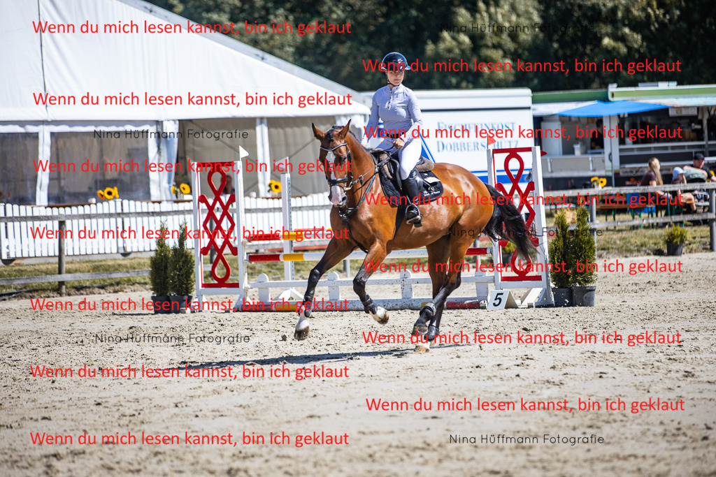 BK1A5318 | Turnierbilder Turnierfotos Nina Hüffmann Turnierfotografie Pferdefotografie Tierzeichnung Haustierzeichnung Pferdezeichnung Hundezeichnung Videograf  - Realisiert mit Pictrs.com