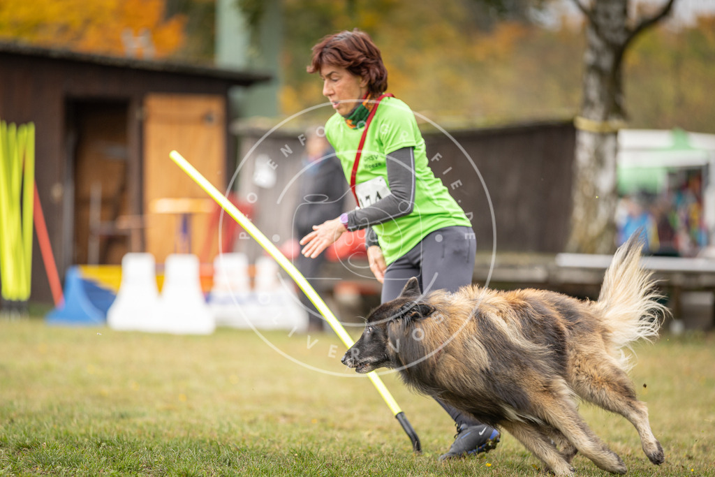 Pfotenfotografie_DV3A5506 | Hundefotografie, Tierfotograf, Pfotenfotografie, Fotoshooting Hund, Hunde Portrait, Hundesport, Hundeportraits, Heideshooting, Hunde, Sportfotograf, Hundefotograf, Turnierhundsport, THS,  - Realisiert mit Pictrs.com