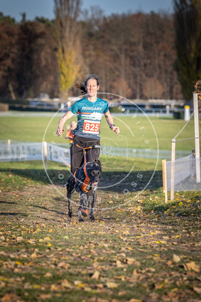 CaniXpix_DV3A3330 | Hundefotografie, Tierfotograf, Pfotenfotografie, Fotoshooting Hund, Hunde Portrait, Hundesport, Hundeportraits, Heideshooting, Hunde, Sportfotograf, Hundefotograf, Turnierhundsport, THS,  - Realisiert mit Pictrs.com