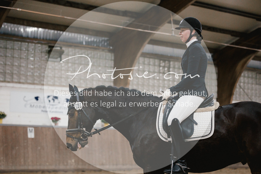 3I6A5812 | Stimmungsvolle Portraits und Reitsportfotografie im Ruhrgebiet und im Münsterland.

Pferdefotografie, Hundefotografie, Tierfotografie, Reportagen, Portraits von Tier und Mensch, Turnierfotografie in Bochum, Recklinghausen, Marl, Haltern am See, Dülmen.. - Realisiert mit Pictrs.com