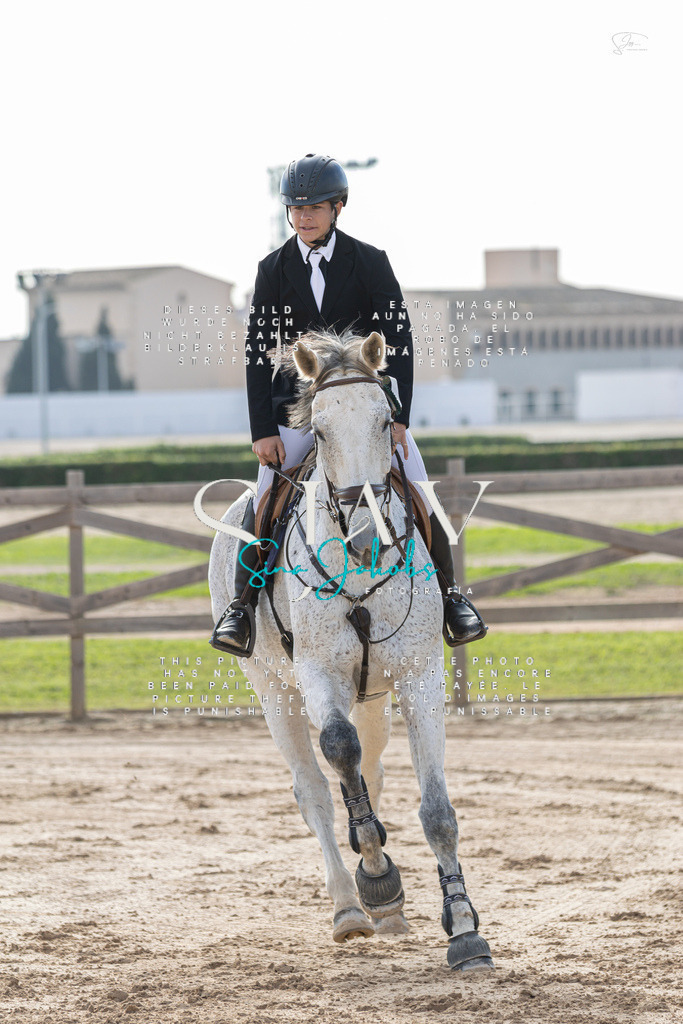 IMG_2359 | s-jay-photography - Realisiert mit Pictrs.com