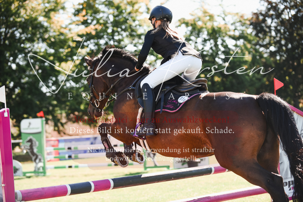 DSC_2389 | Pferde- und Turnierfotografie in Westsachsen. Pferdeportraits, Auftragszeichnungen und intuitive Kunst.