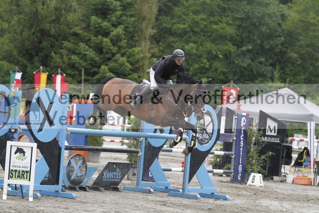 _MG_2787 | equestrian-live-com