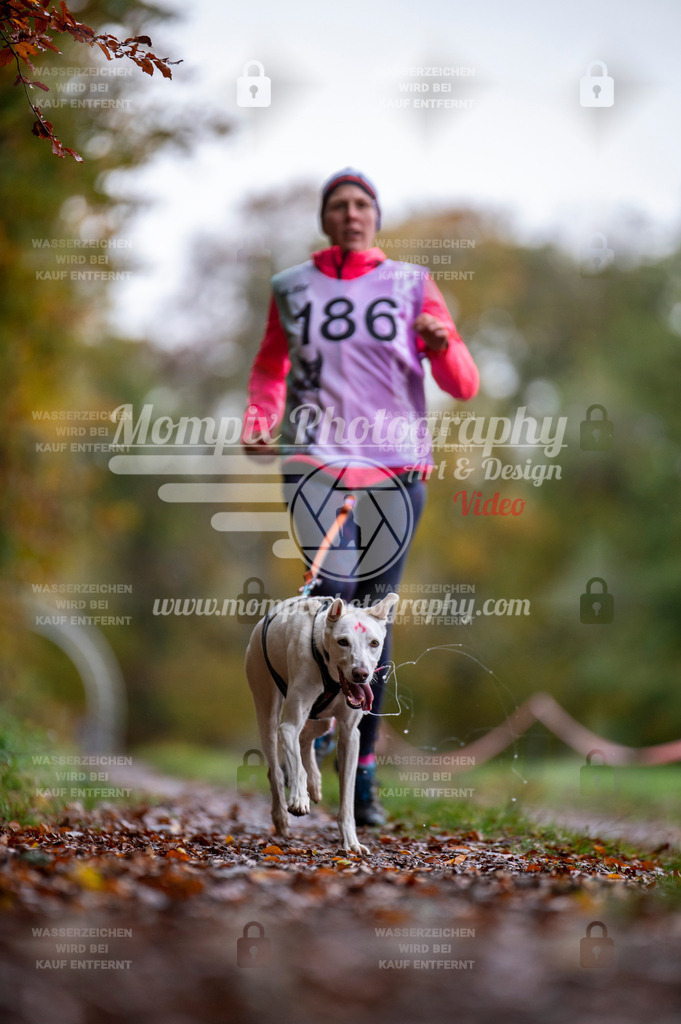 DBT_DAKM_SA_4_11_2023_Canicross-32 | PayLife