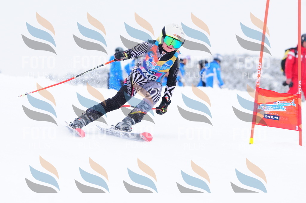 C4337 | holidayphoto