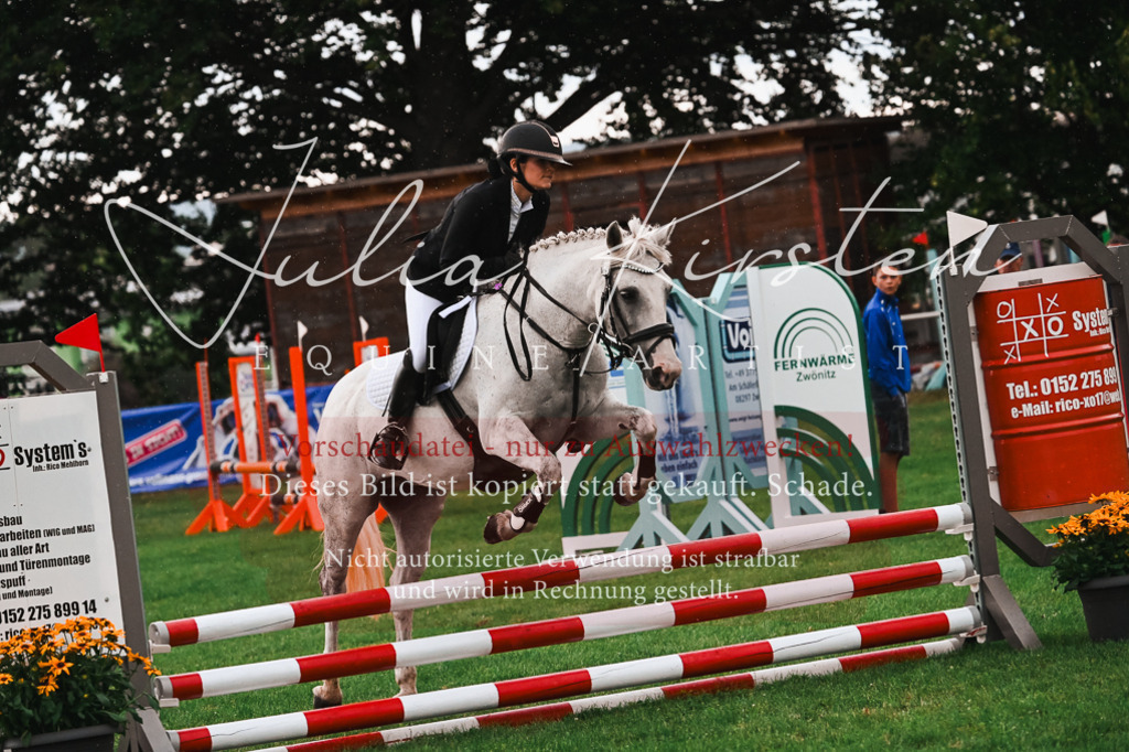 DSC_6194 | Pferde- und Turnierfotografie in Westsachsen. Pferdeportraits, Auftragszeichnungen und intuitive Kunst.