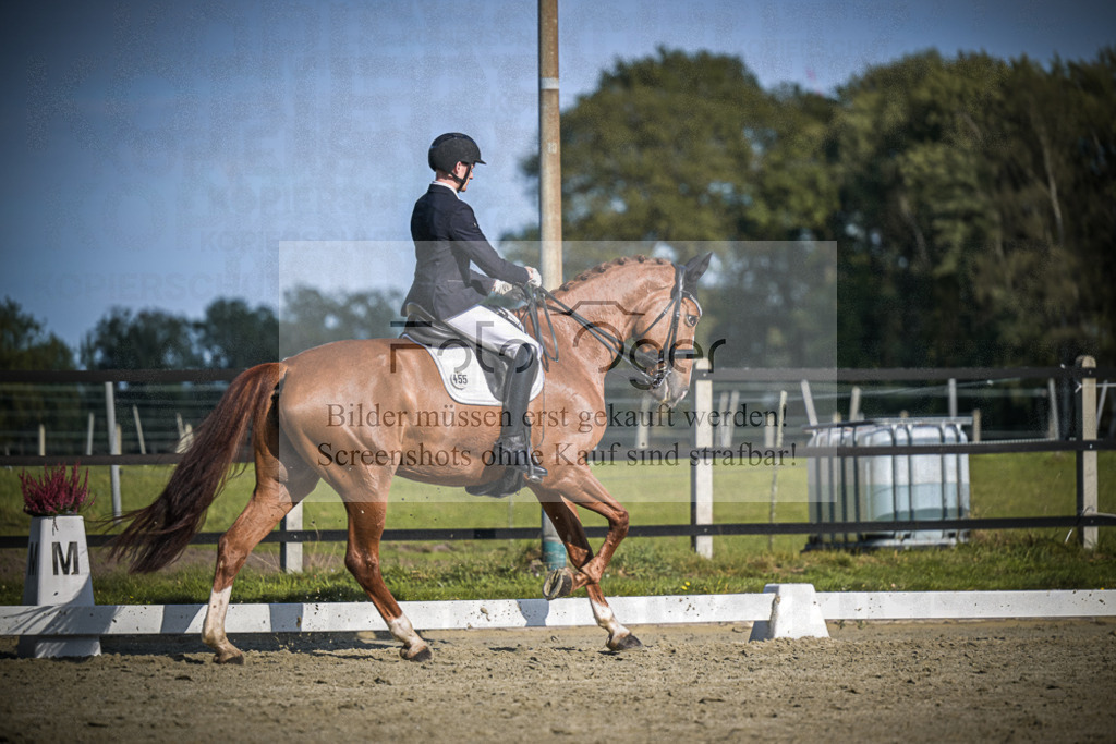 DOS_3520 | Entdecke hochwertige Reitturnierfotos von Foto Oger. Professionell, emotional und authentisch – jetzt Lieblingsmomente im Shop bestellen.Deutschlandweite Turnierfotografie. - Realisiert mit Pictrs.com