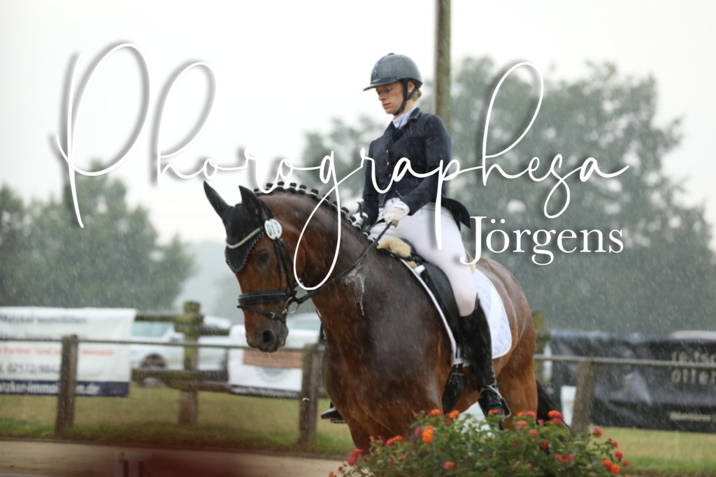 IMG_4780 | photographesa-joergens - Realisiert mit Pictrs.com