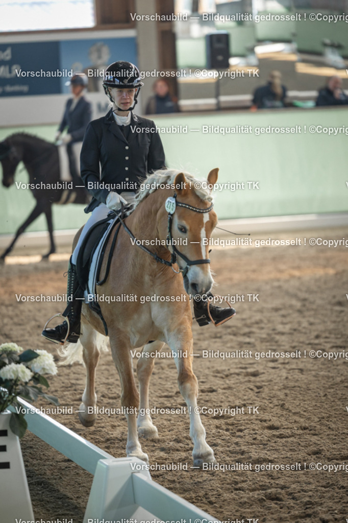 _D5A8317 | Emotionale Pferde- & People-Fotografie rund um Heidelberg, Leimen & Umgebung. Natürliche Fotos von Pferd, Mensch & Familie. Jetzt Termin sichern!