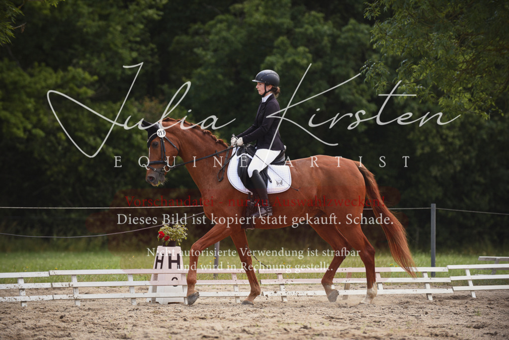 DSC_1077 | Pferde- und Turnierfotografie in Westsachsen. Pferdeportraits, Auftragszeichnungen und intuitive Kunst.