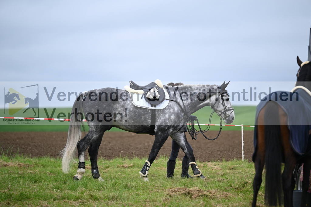 DSC_0366 | equestrian-live-com